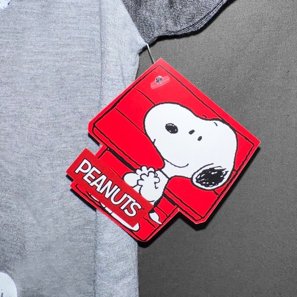 Peanuts Woodstock Gray Ragland T-Shirt - Picture 4 of 5